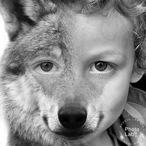 Meet your Posher, Ace